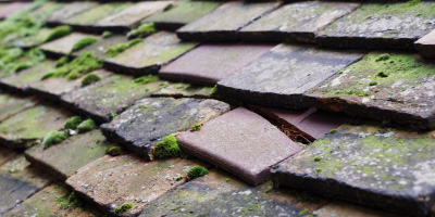 Cressage roof repair costs